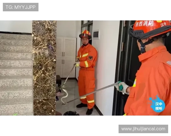 亚博体育：用户体验优化与平台安全保障措施