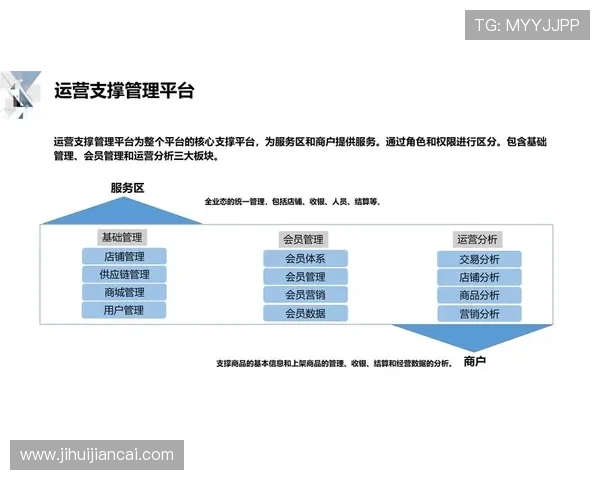 开云体育国际版多平台同步运营策略实现全球市场快速布局